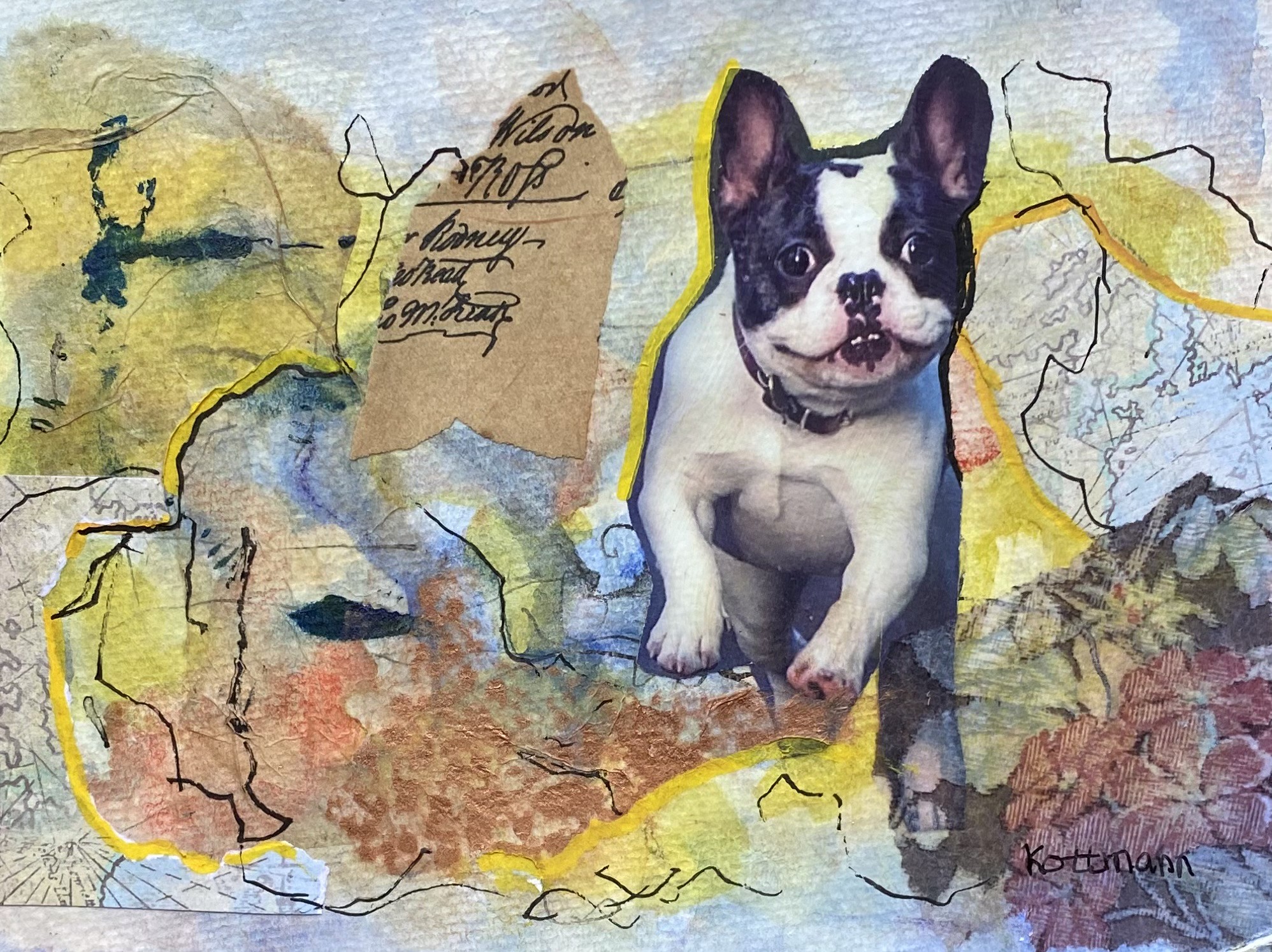 dog picture