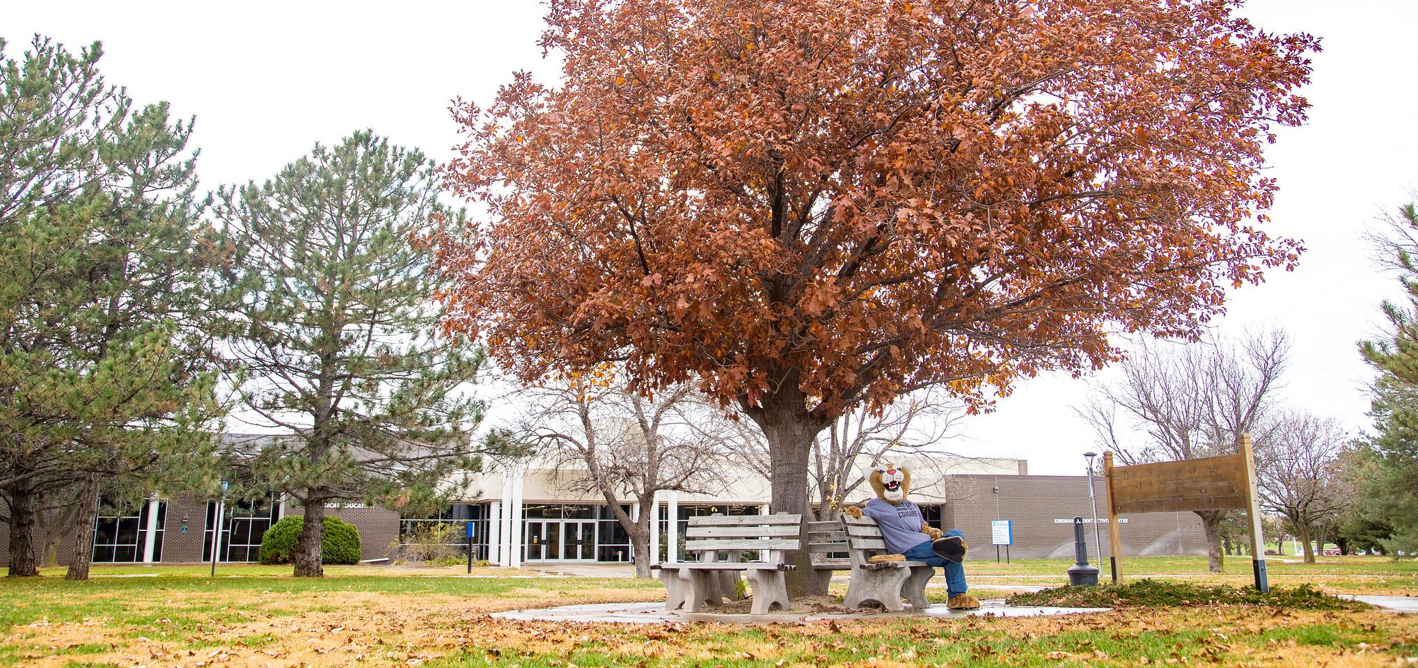 Bart sits on a campus bench in the fall